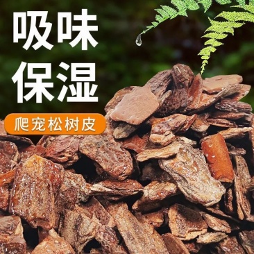 松树皮