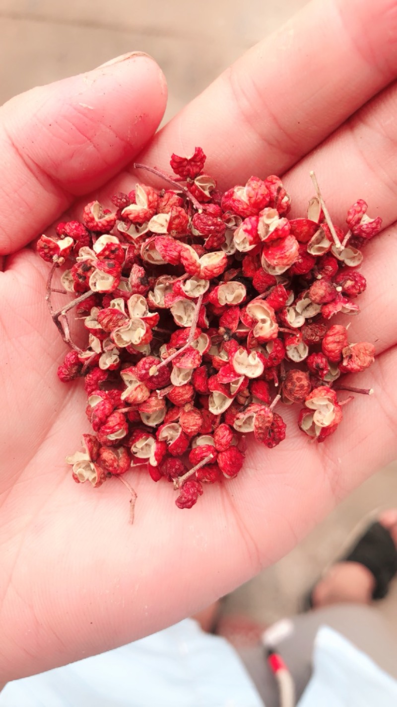 新货大红袍花椒大量有货无杆无籽品质优基地直供量大从优可