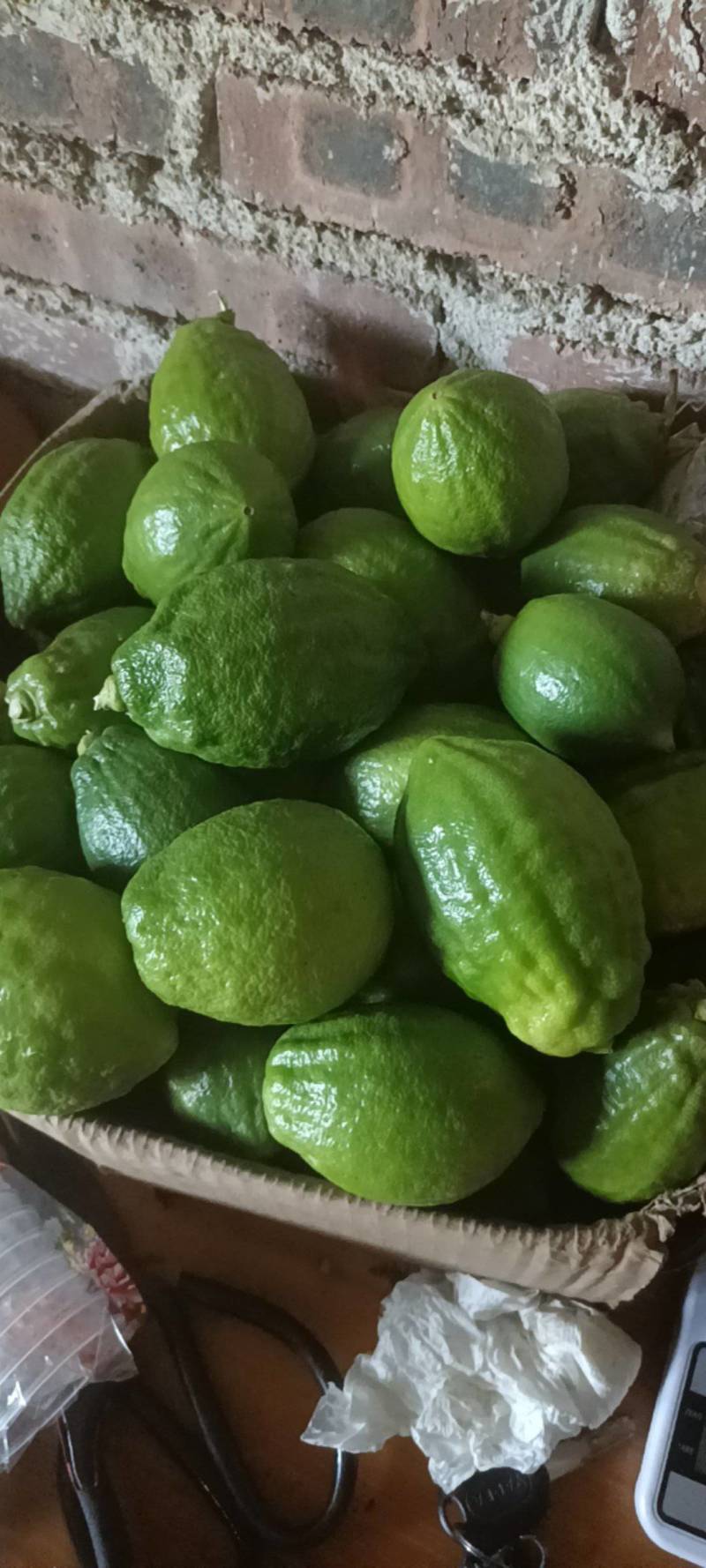 广东香水柠檬，