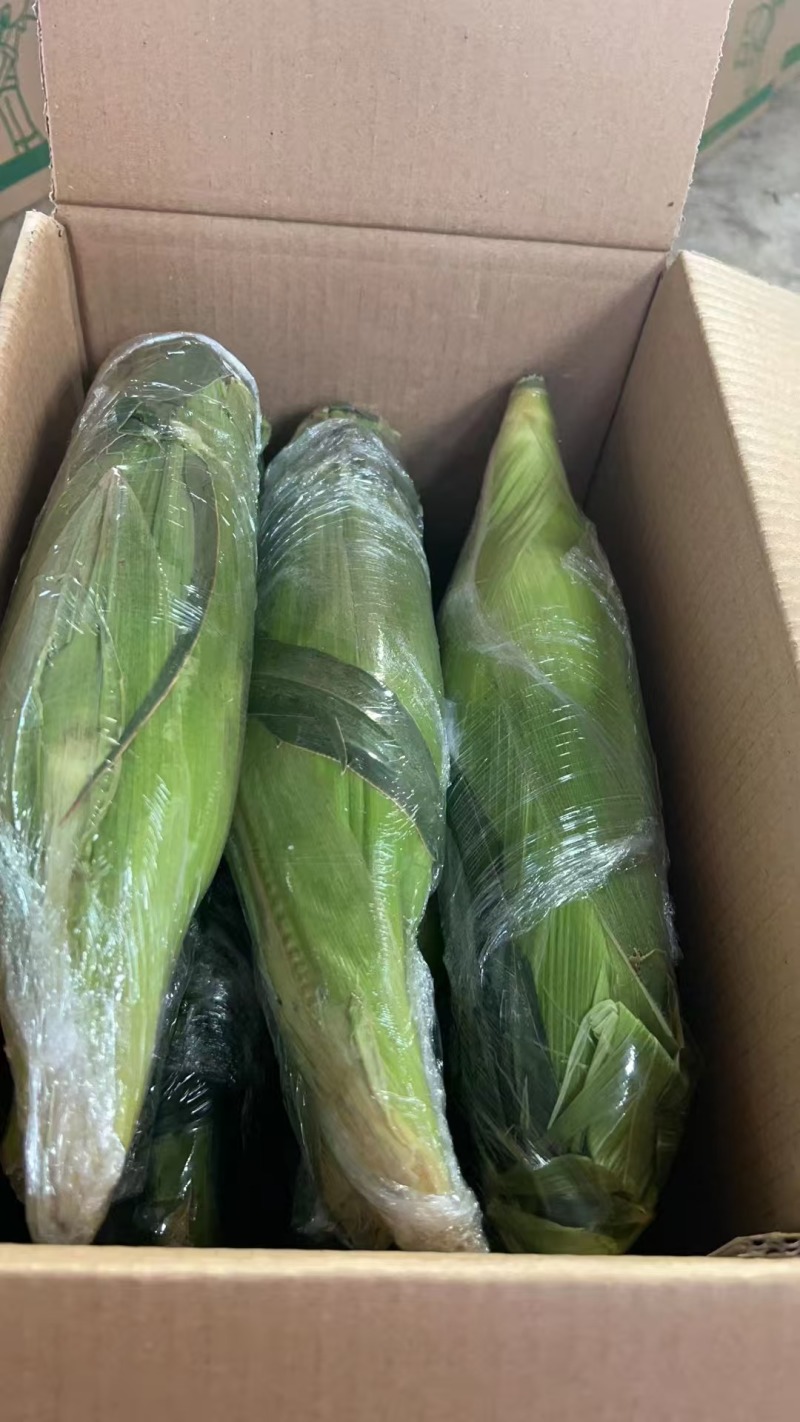 水果玉米