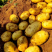 河北土豆沃土土豆，产地大量发货，价格优惠，规格齐全