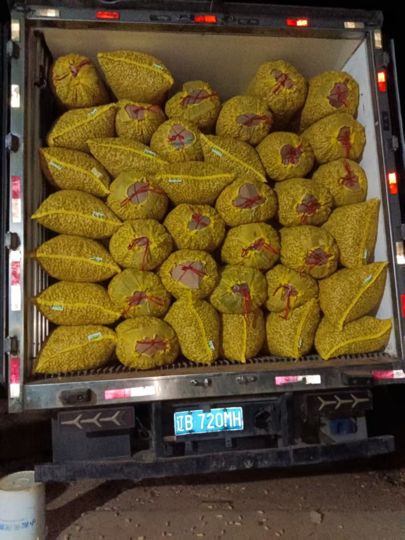辽宁两粒红海花花生大量上市货源充足品质保证欢迎致电