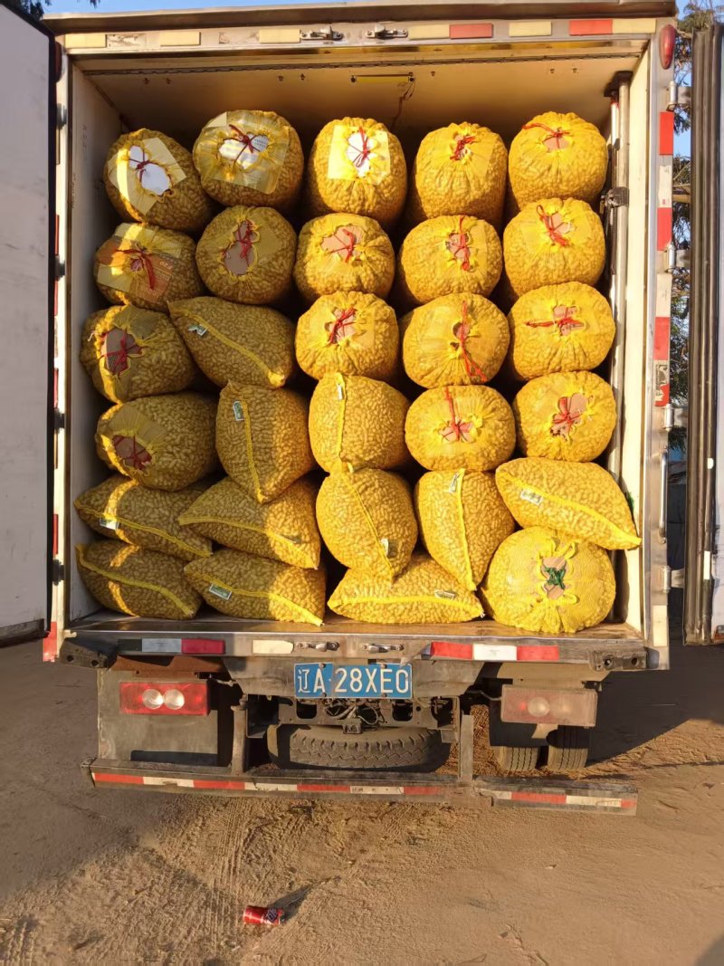 辽宁两粒红海花花生大量上市货源充足品质保证欢迎致电