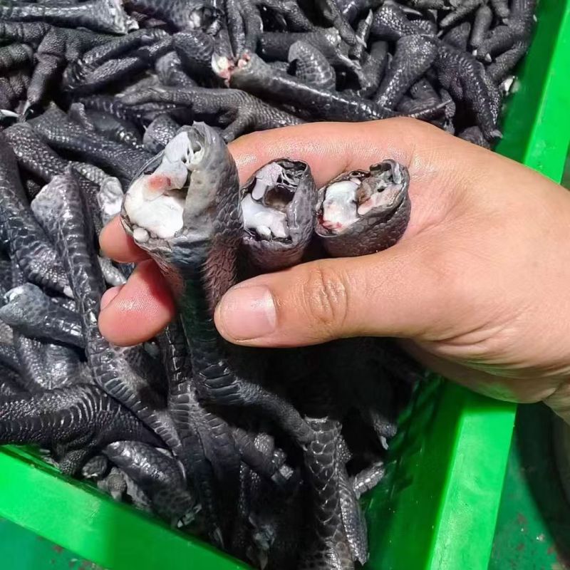 乌鸡爪现货价格不高