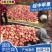 《中秋王苹果》绥中苹果/产地现摘现发/全国发货/欢迎来电