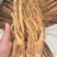 精品独活个子