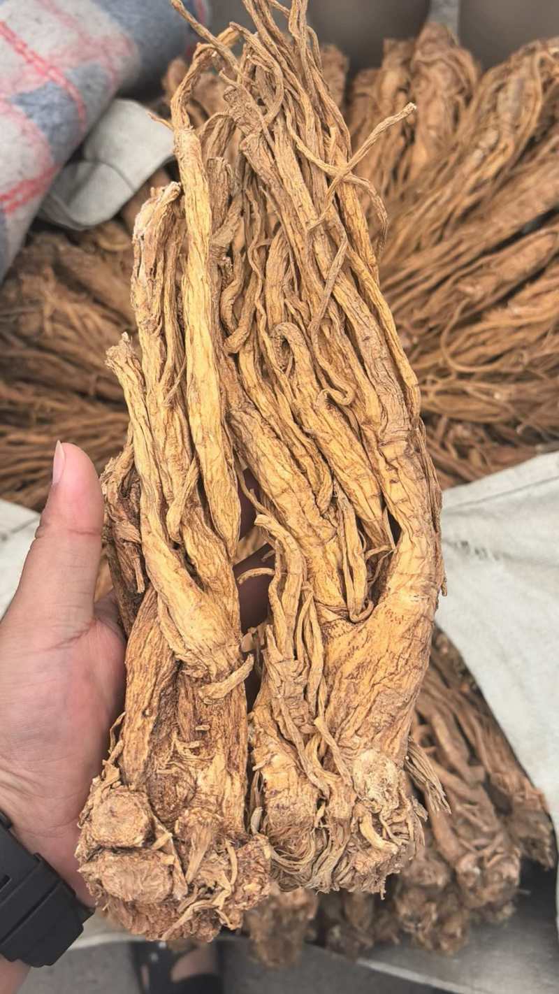 精品独活个子