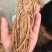 精品独活个子