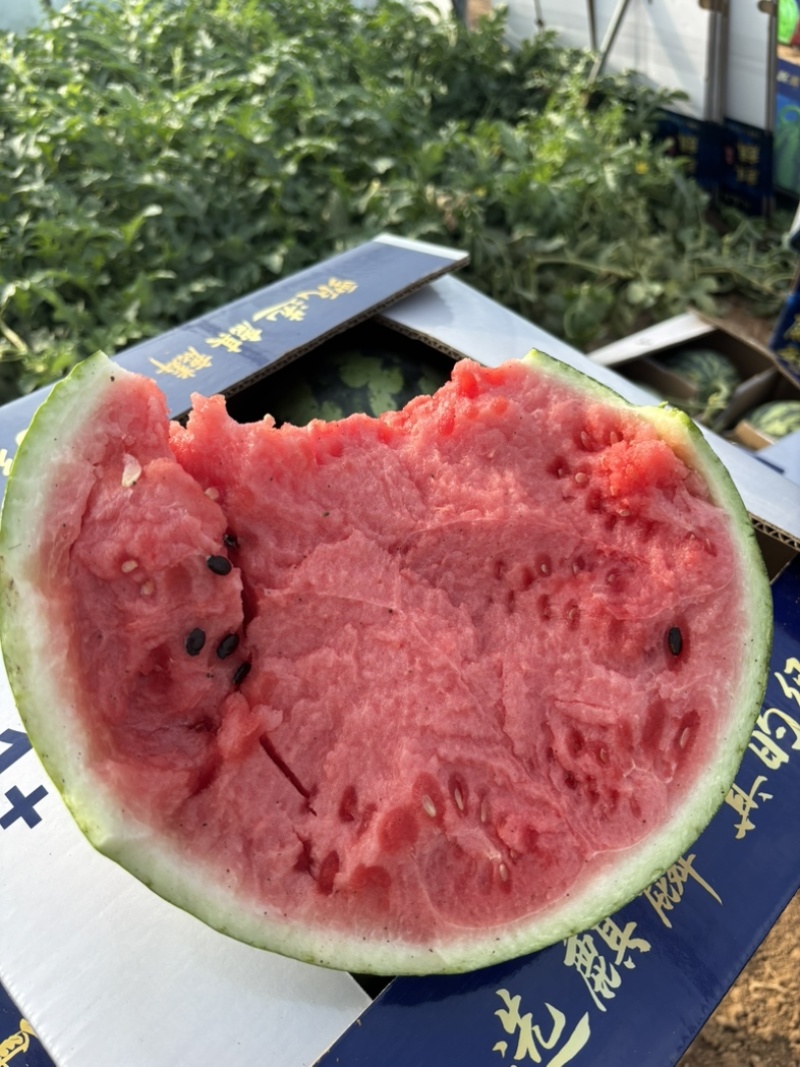 甘肃跑腾二茬