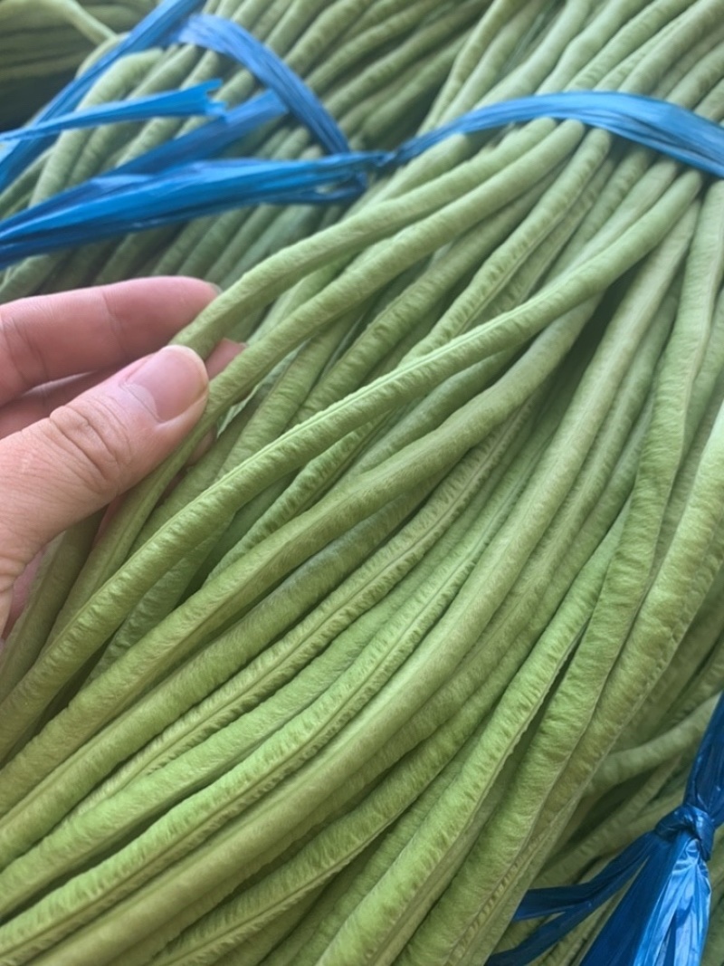 山东省菏泽长豆角产地一手货源对接全国批发☎️联系