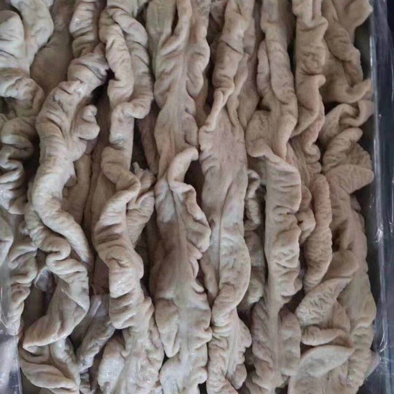 猪预煮大肠，预煮去油，现在**加工10吨货，福利价格现货