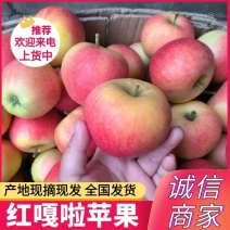 《嘎啦苹果》辽宁绥中产地&大量上市中/现摘现发/欢迎来电