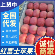 《红富士苹果》辽宁苹果/产地现摘/规格齐全/欢迎来电洽谈