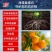 海藻蛋白水溶高钾有机桶装绿叶生根膨果蔬菜肥料果树水溶肥