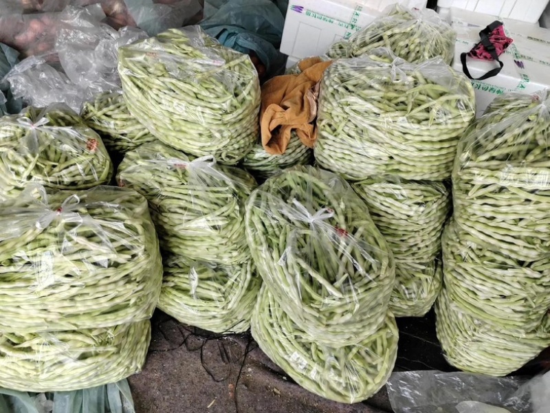 菏泽市成武县白不老芸豆一手货源产地直发量大☎️联系