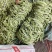 菏泽市成武县白不老芸豆一手货源产地直发量大☎️联系