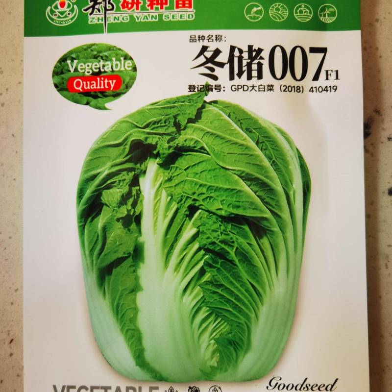 （精）抗病耐贮过冬大白菜种冬储007神青冬盛叶球叠包炮弹