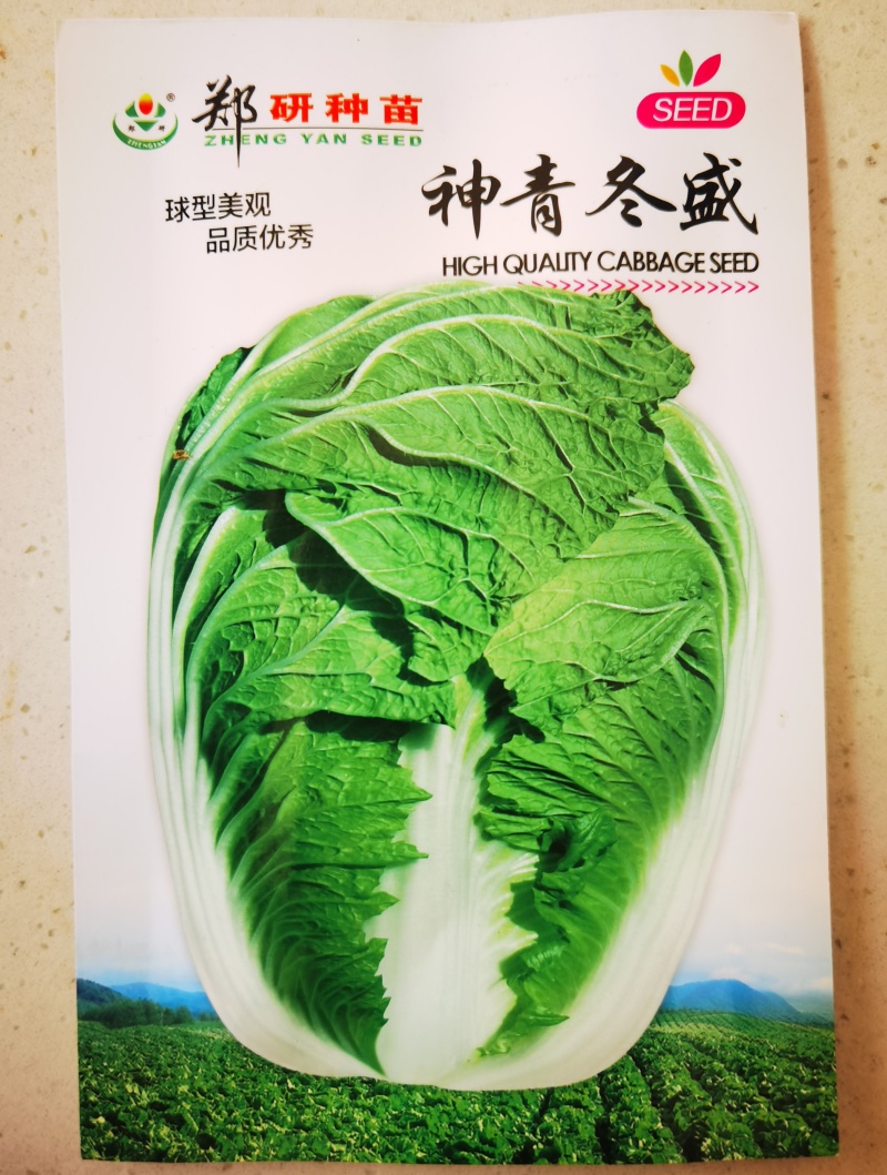 （精）抗病耐贮过冬大白菜种冬储007神青冬盛叶球叠包炮弹