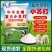 兽用饲料小苏打碳酸氢钠饲料添加剂猪牛羊鸡鸭鹅量大批发