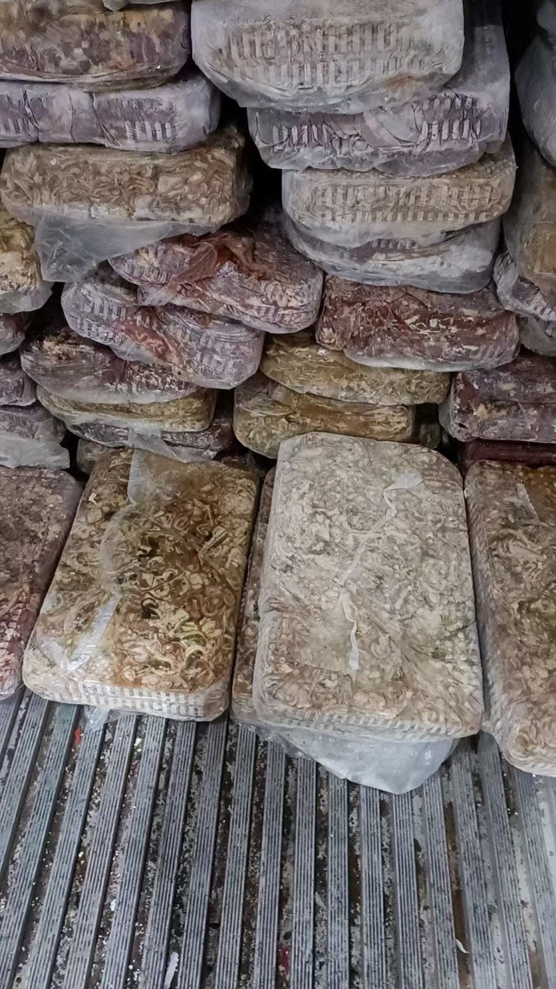 鸭肠料，喂鱼**全新冷冻批发价格非常便宜比白菜还便宜。
