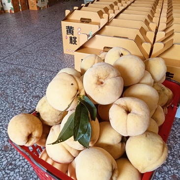黄桃