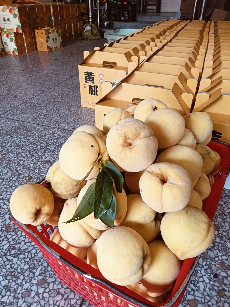 黄桃