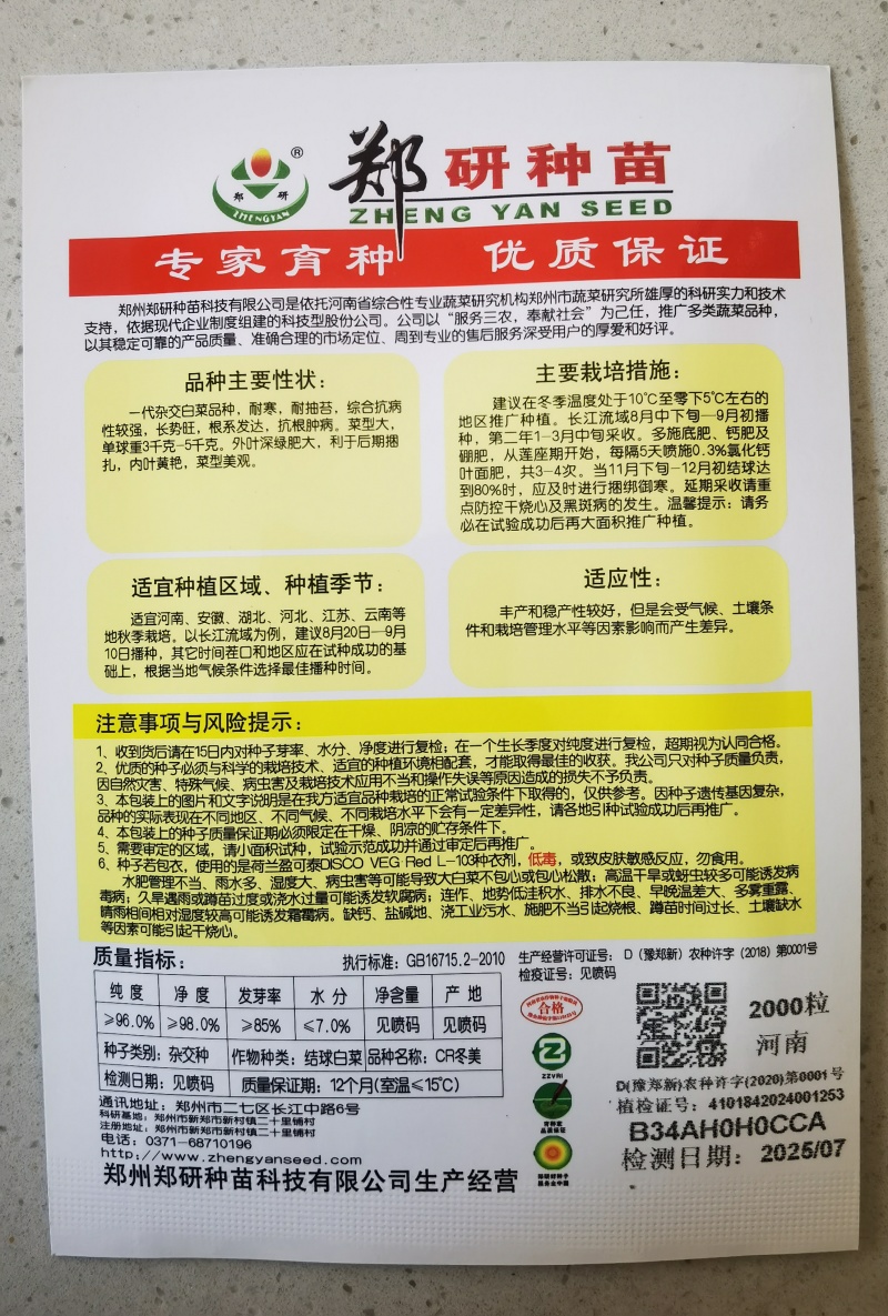 【精】抗根肿病球型美观黄心大白菜种子CR冬美耐寒菜型大耐