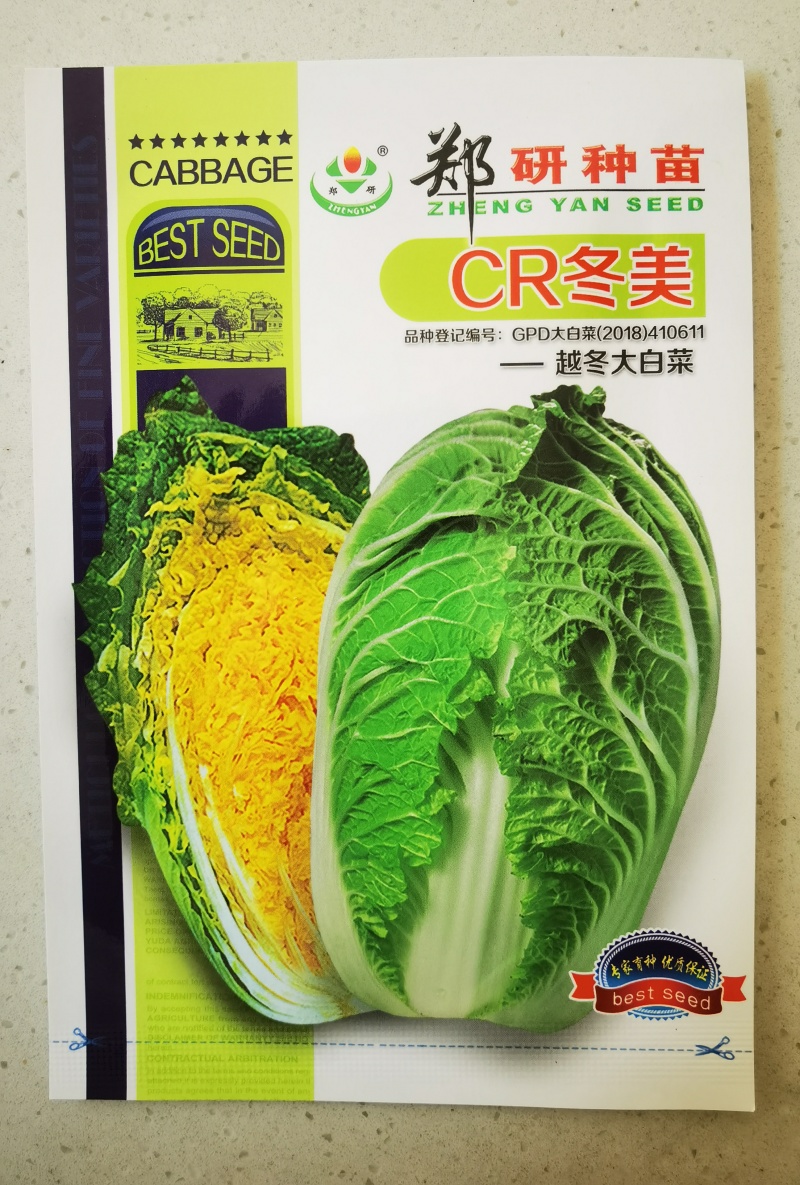 【精】抗根肿病球型美观黄心大白菜种子CR冬美耐寒菜型大耐