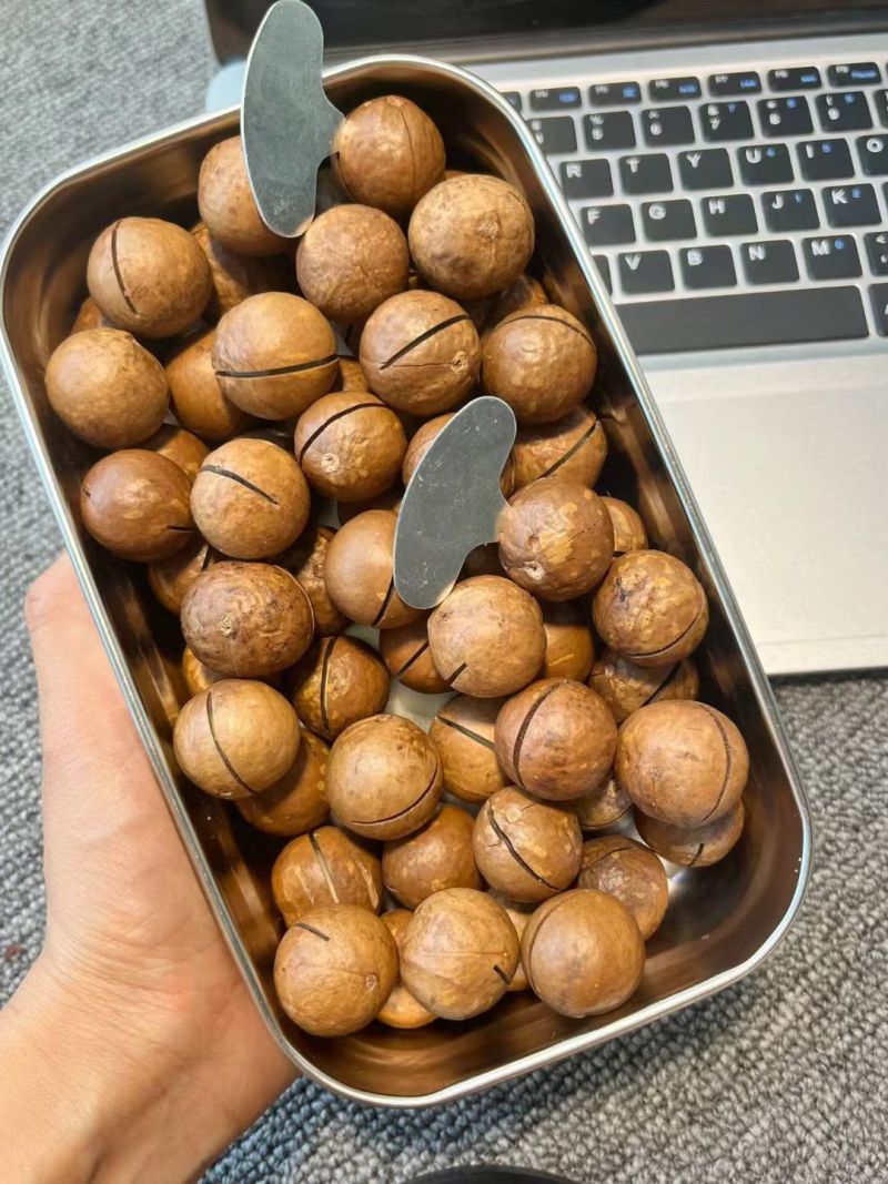 夏威夷果