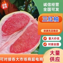 精品三红柚红心柚基地直供对接全国电商团购批发商超
