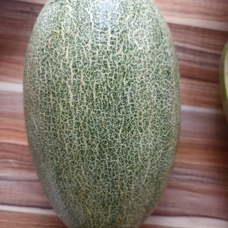 哈密瓜