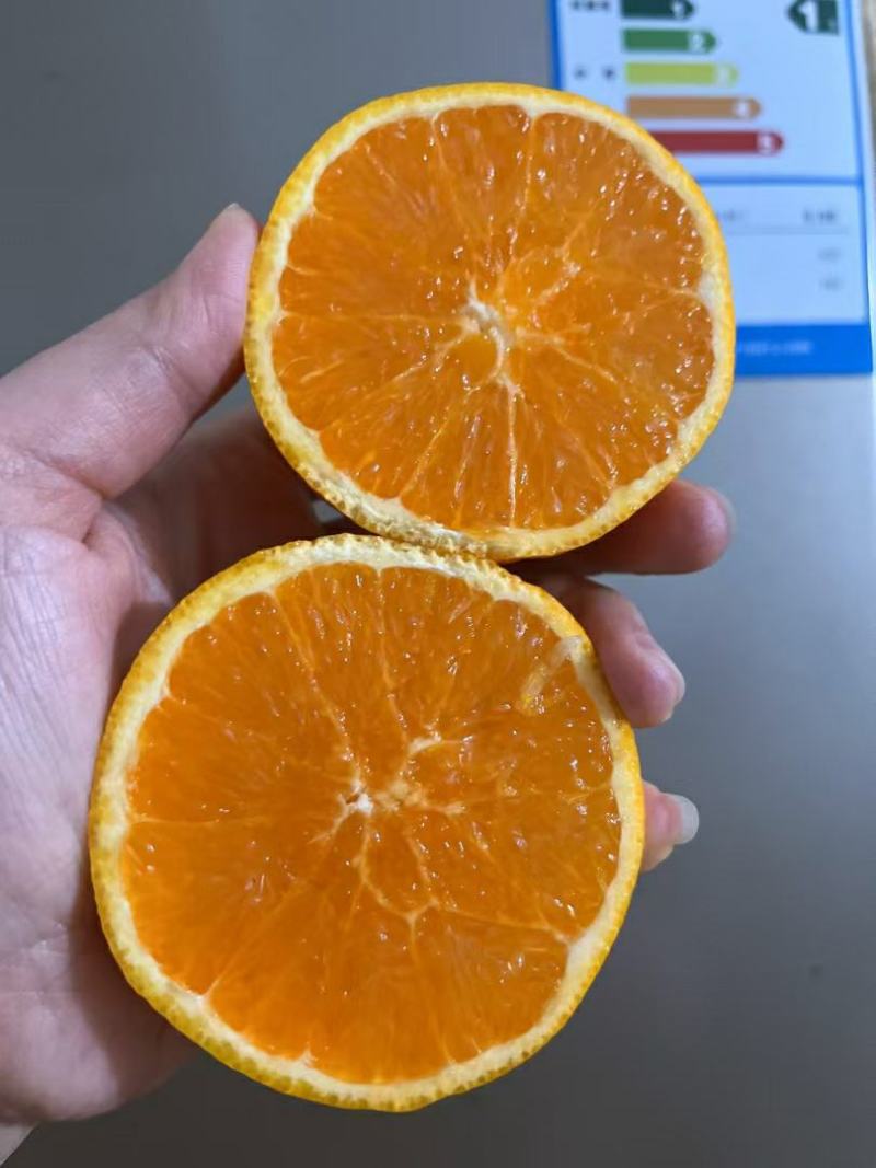 精品蜜橘产地发货一手货源批发质量保证价格美丽