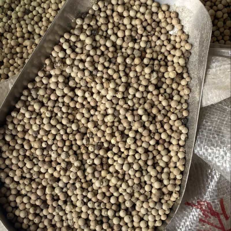 正品白胡椒粒，颗粒均匀，香味十足