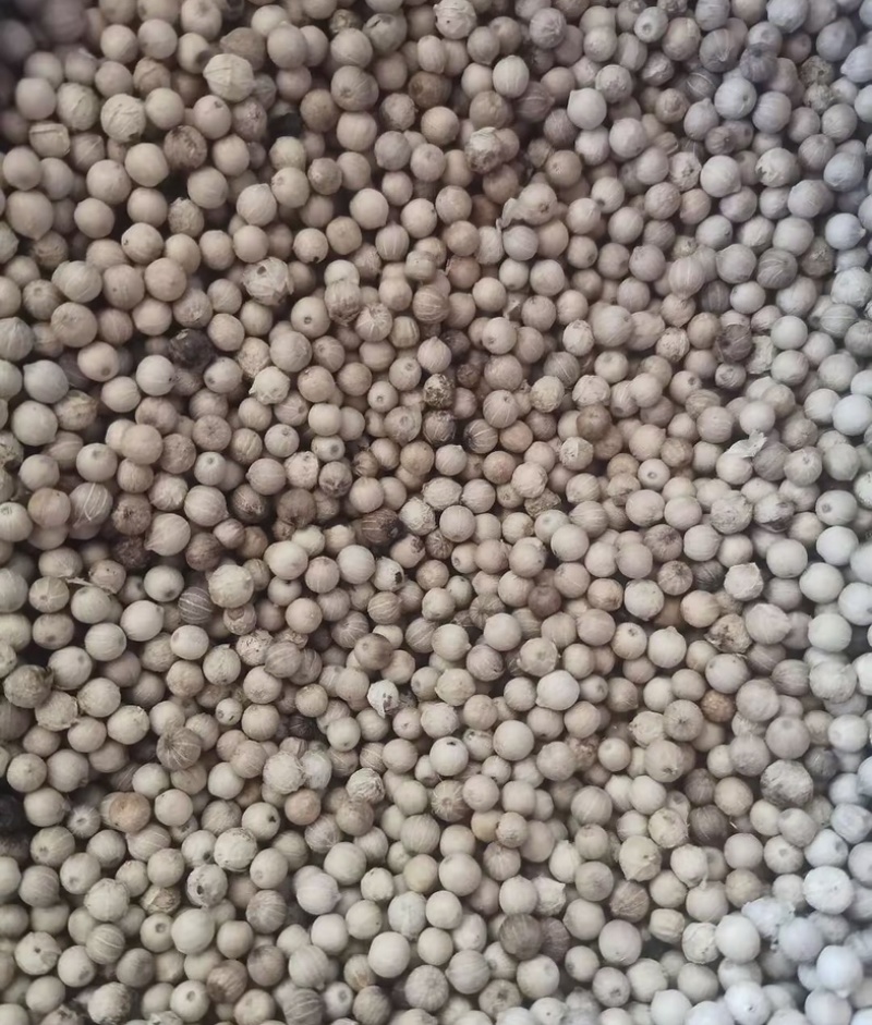 正品白胡椒粒，颗粒均匀，香味十足