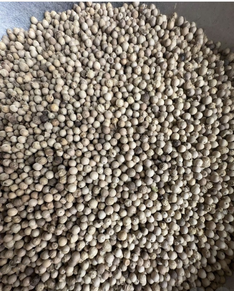 正品白胡椒粒，颗粒均匀，香味十足