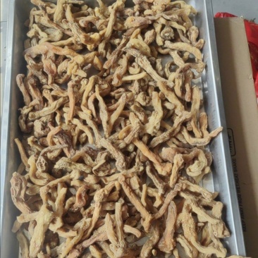 黄精