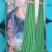 豇豆种子花样年华白籽白花翠绿色80-90厘米耐高温