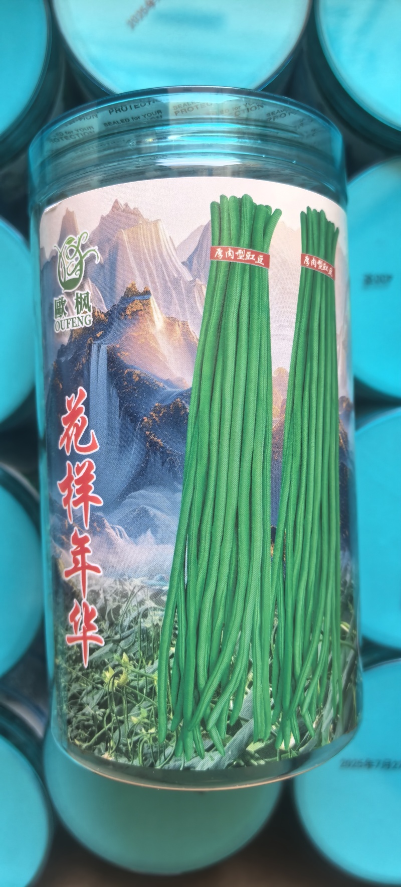 豇豆种子花样年华白籽白花翠绿色80-90厘米耐高温