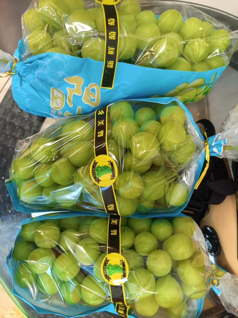 浙江地区推荐嘉兴阳光玫瑰葡萄品质保障现摘现发