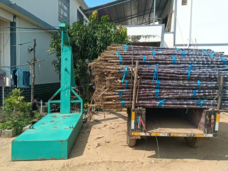 云南黑皮甘蔗1200亩基地直销，货源充足，质量保证，对接