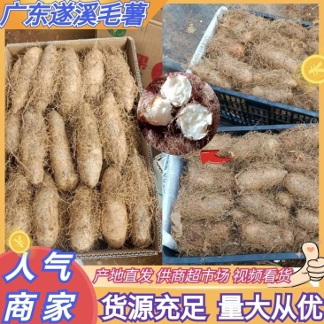 湛江精品毛薯！粉糯可口，大片基地一手货，全国发货。