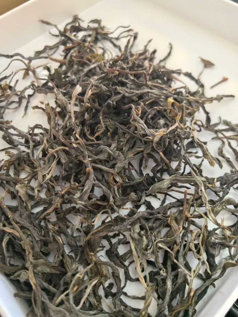 兰香古树龙珠