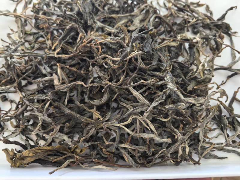 兰香古树龙珠