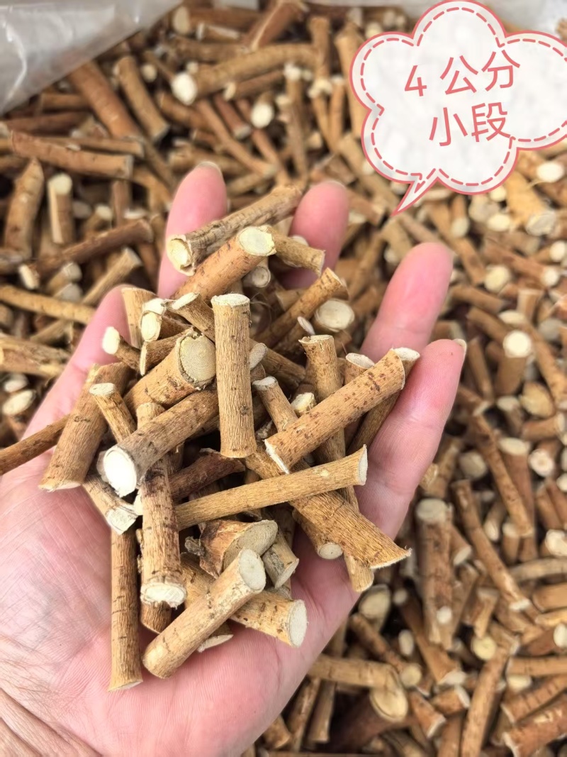 超高性价比正规货源一手五指毛桃品质保证放心购买