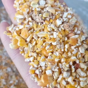 养殖碎玉米适用于鸡鸭鹅牛羊养殖
