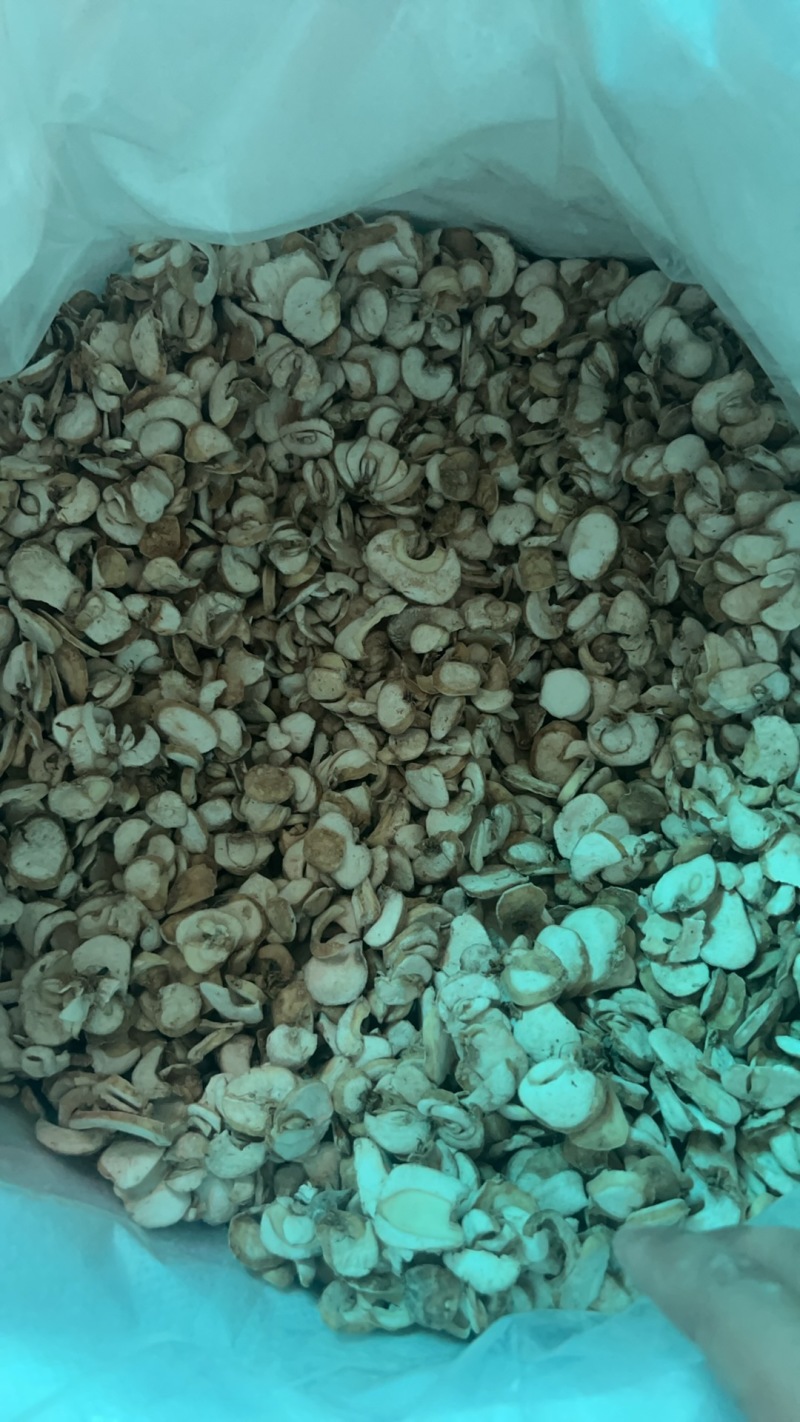 【湖北贝母统片】近期急销量大从优货量充足