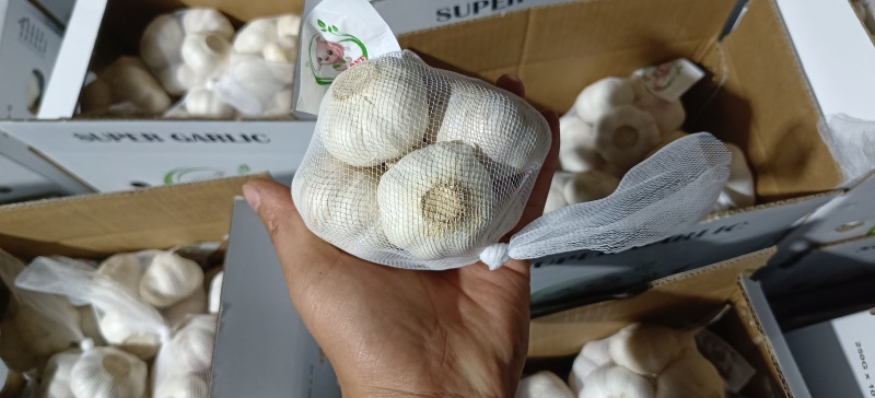 大小规格各种国内外包装，