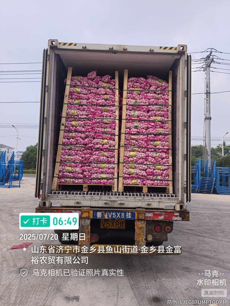 大小规格各种国内外包装，