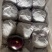 山东潍坊青州精品圆茄，大量供应