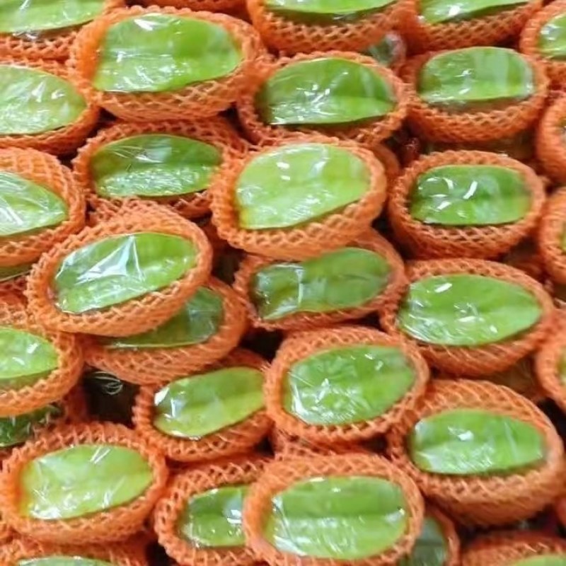 杨桃
